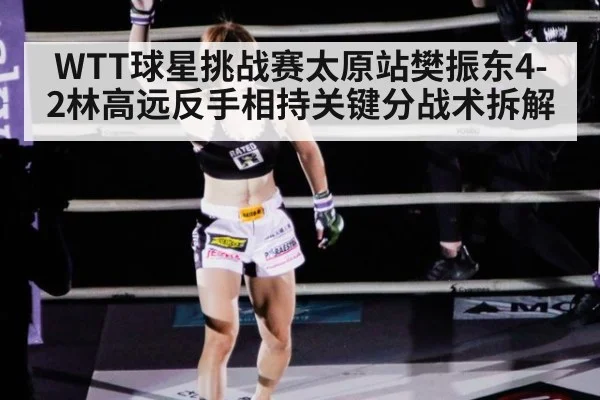 WTT球星挑战赛太原站樊振东4-2林高远反手相持关键分战术拆解